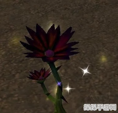 魔兽世界怀旧服黑莲花刷新规律深度解析
