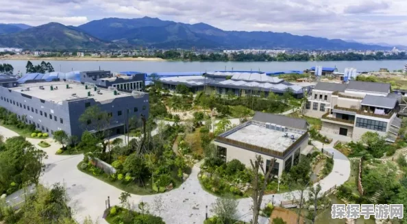 梦幻西游手游元宵灯谜活动盛大预告，探寻传统文化，赢取丰厚奖励