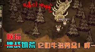 饥荒联机版2bit与普通版深度对比，探索不同画质下的生存挑战