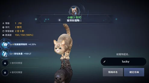 黑色沙漠手游精神小喵获取攻略，免费宠物等你来拿