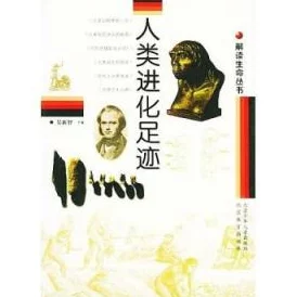 原神深度探索，追寻海亚姆的足迹——正法炬书后续任务全揭秘