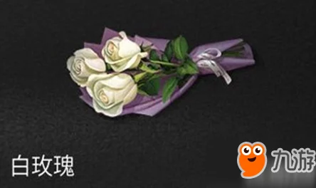 手游资讯，揭秘动物餐厅中白玫瑰的获取方法