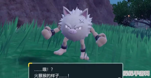 宝可梦朱紫火爆猴进化新揭秘，砌石头？其实是进化成弃世猴的详细指南