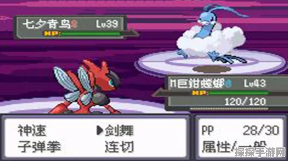 口袋妖怪黑版新晋训练师必备入门策略