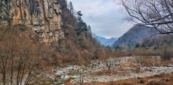 手游资讯，桃源深处有人家全面解锁愿探险玩法，详尽攻略带你畅游仙境