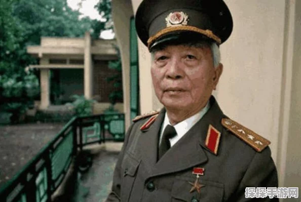 绝区零11号角色深度解析，技能特性与战术应用的全面探索