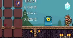 泰拉瑞亚宝箱怪制作方法详解，步骤与技巧