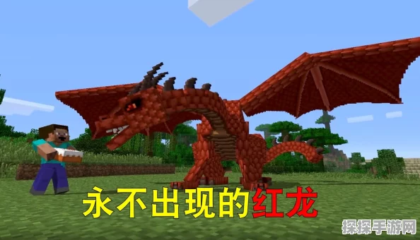 我的世界红龙繁殖全攻略，解锁神秘龙族的传承，探索手游新纪元