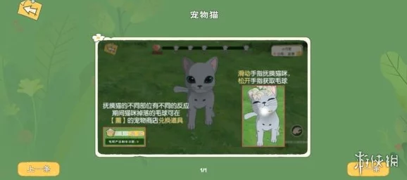 手游资讯，揭秘小森生活小鱼干高效获取方法，解锁猫咪专属美食秘籍