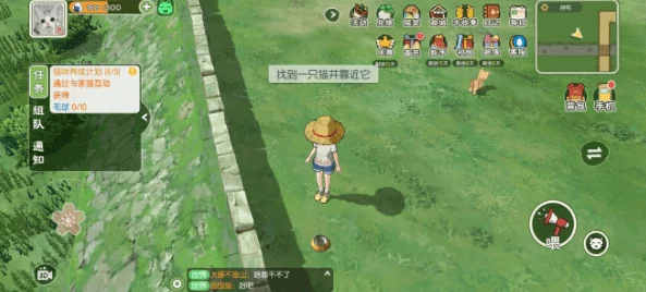 手游资讯，揭秘小森生活小鱼干高效获取方法，解锁猫咪专属美食秘籍