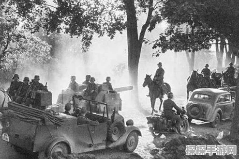 海岛奇兵高手深度解析，46级NPC岛屿入侵者攻略全揭秘