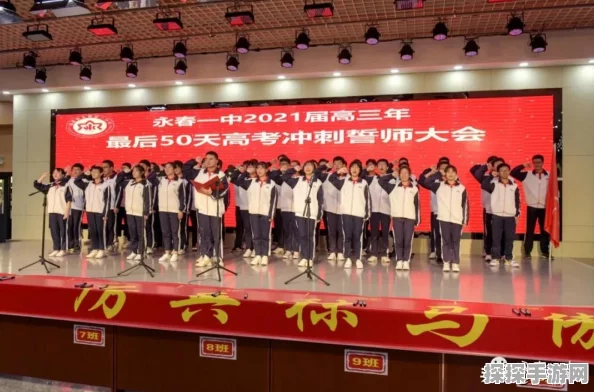 诛仙手游青云专属法宝精进与PK技巧深度解析