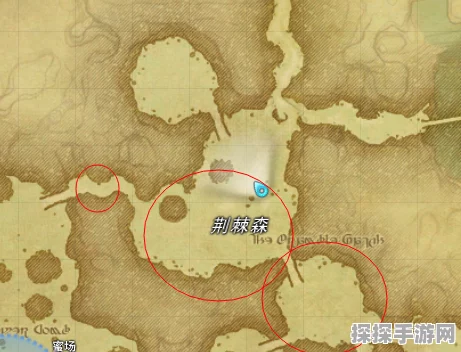 鸣潮紫珊瑚采集全攻略，位置、方法与作用深度解析