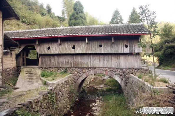光遇夜行季先祖复刻大全，手游资讯深度解析