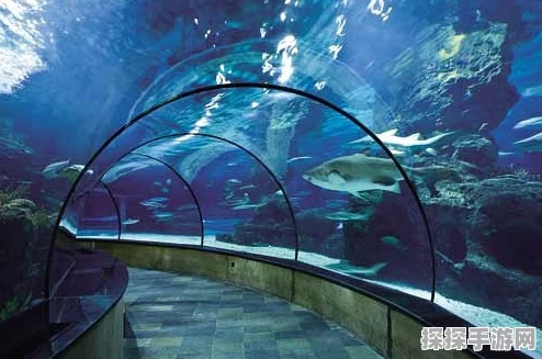 我的世界移动版扬帆起航，探索无垠海洋新篇章