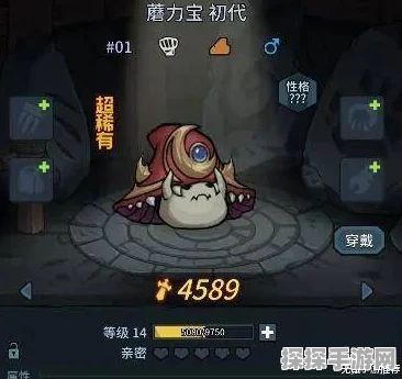 提灯与地下城宠物进化材料全解析，助力玩家打造最强萌宠战队