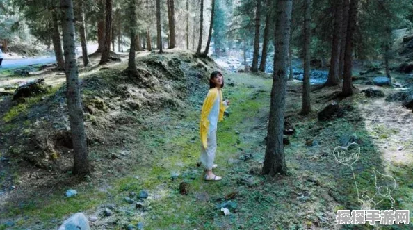 手游资讯，探索星辰与自然的邂逅，光遇新版本星辰之旅盛大开启