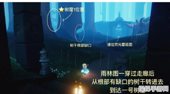 光遇集结季先祖位置全揭秘，探寻雨林中的神秘向导