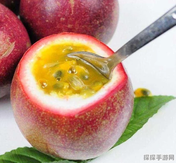 DNF蜂蜜吸管选择攻略，详解各款式优劣，助你找到最佳游戏伴侣