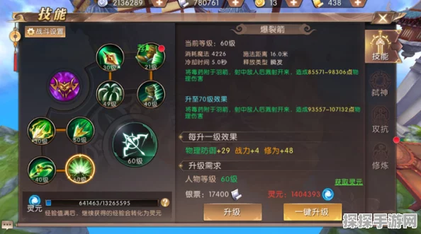轩辕传奇手游深度解析，灵幻飞羽龙与幻弓灵宠的完美搭配