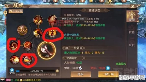 轩辕传奇手游深度解析，灵幻飞羽龙与幻弓灵宠的完美搭配