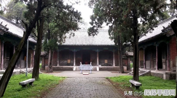 部落冲突速5攻略，解锁五级部落的制胜之道
