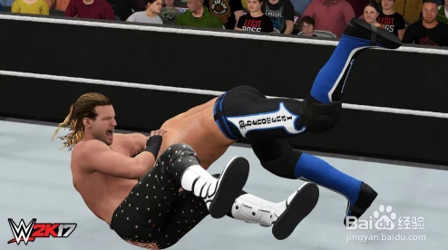 WWE 2K25震撼来袭，PC与主机平台共襄盛举