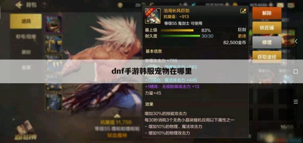DNF手游韩服宠物获取全攻略
