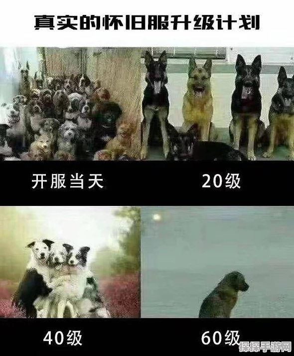 魔兽世界怀旧服人口激增，手游界迎来新热潮资讯报道