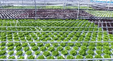 王者荣耀抢先服深度解析，探索前沿体验，解锁专属福利