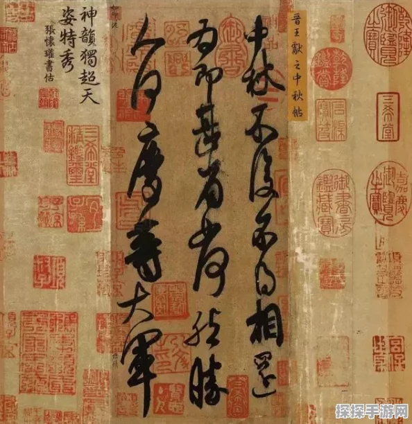 王者荣耀抢先服深度解析，探索前沿体验，解锁专属福利