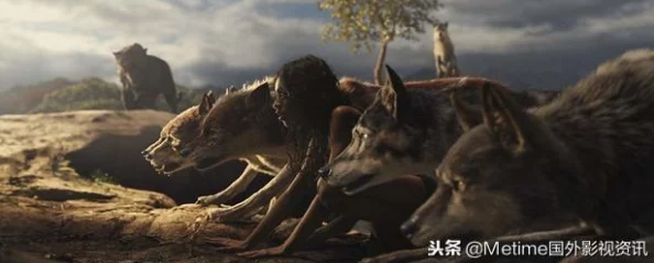 森林之子手游快捷键全解析，助你高效探险，畅享游戏乐趣