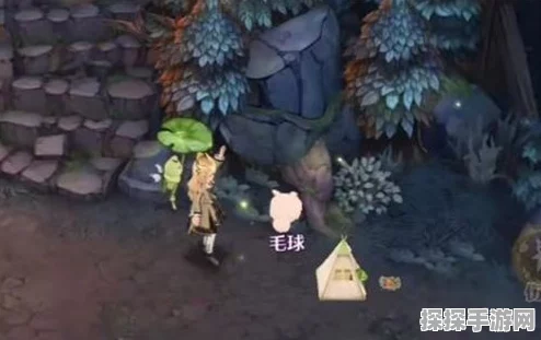 森之国度露营青蛙位置全揭秘