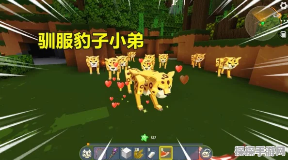 迷你世界驯服豹子新攻略，探索野性魅力，解锁全新伙伴