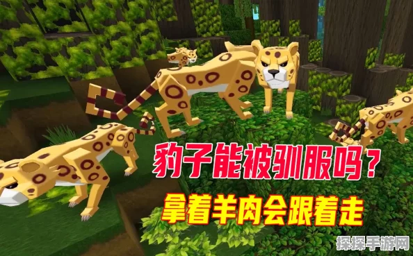迷你世界驯服豹子新攻略，探索野性魅力，解锁全新伙伴