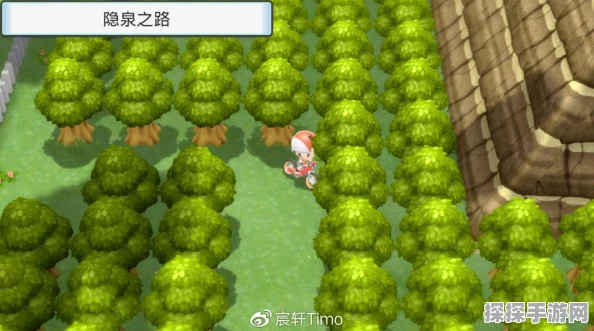 口袋妖怪复刻玛娜菲技能属性大揭秘，全新版本更新资讯