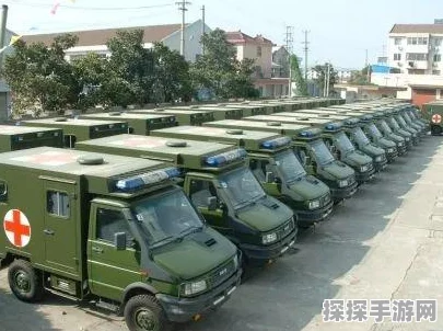 命运方舟，解锁宠物自选秘籍，揭秘宠物自选箱子获取攻略