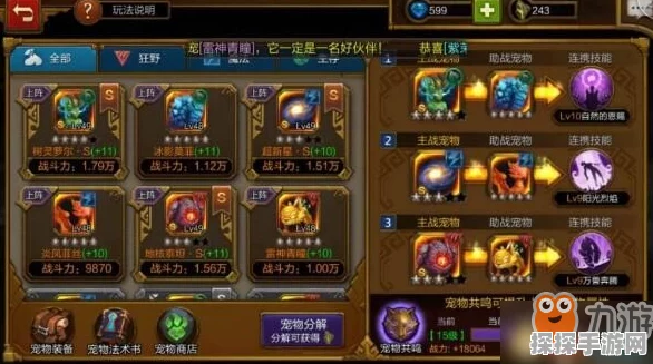 手游资讯，深入解析火炬之光无限战意值的作用及其高效管理技巧