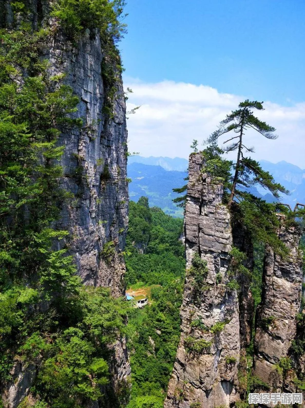 梦幻西游魅族版，深度攻略解锁游戏新世界，角色成长与任务征服全解析