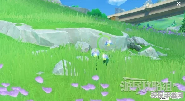 原神隐藏成就柔灯铃的花语完成攻略