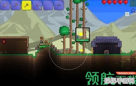 泰拉瑞亚手游资讯，揭秘花苞神秘出现地点