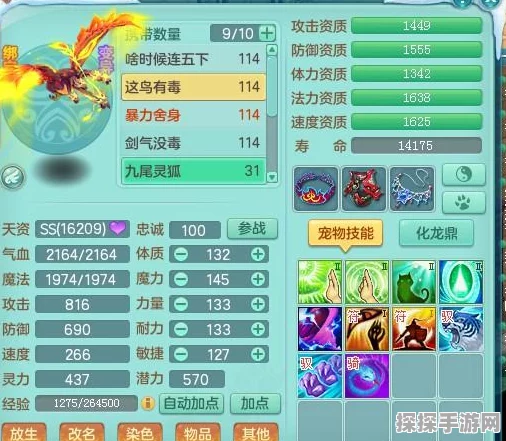 神武手游新宠九头鸟震撼登场，引领战斗新风尚