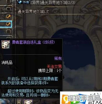 DNF手游暗帝异界套优选攻略，暗影弥漫VS消失之光，深度解析选择推荐
