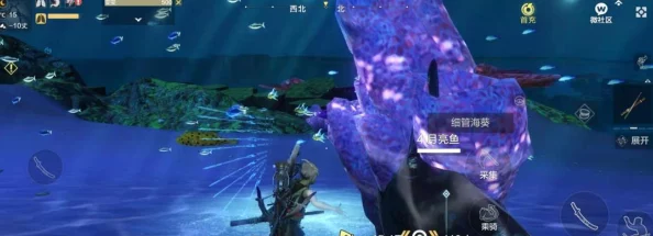 妄想山海镜妆台制作全揭秘，从素材选择到工艺细节的深度解析
