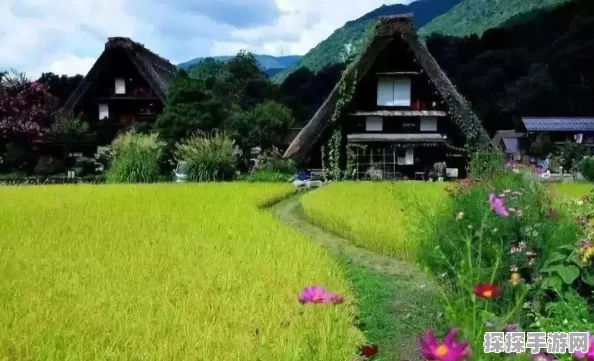 迷你世界家园耕地扩建与稀有装备掉落全解析