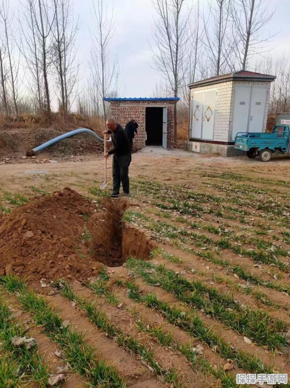 迷你世界家园耕地扩建与稀有装备掉落全解析