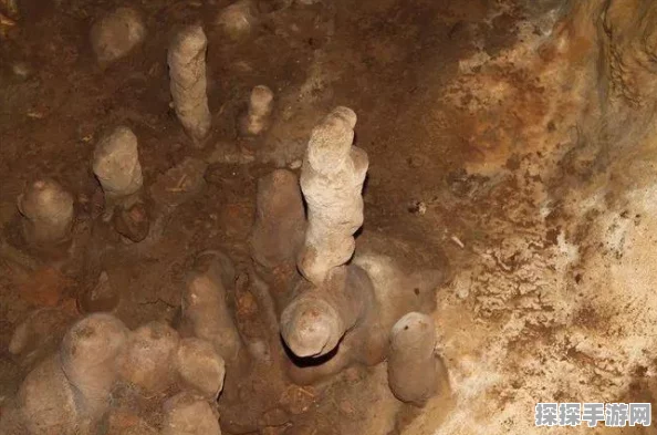 上古卷轴5，天际手游象牙龙爪获取攻略