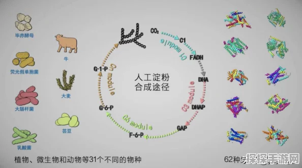 黑暗与光明手游淀粉获取全攻略