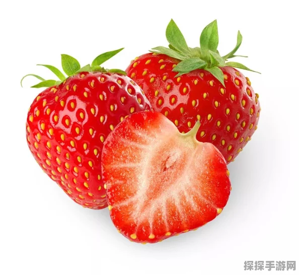 Nopix草莓涂涂游戏手机版震撼发布，像素风情，涂色休闲新体验