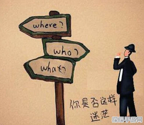 炉石传说猛兽天性任务全面攻略，从新手到大师的蜕变之路
